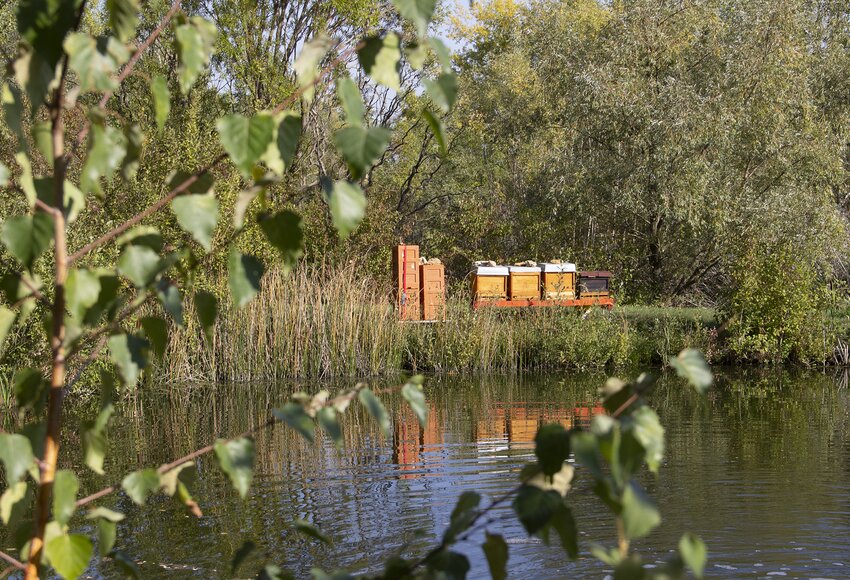 Lago y vegetación cerca de la empresa GOLLMANN